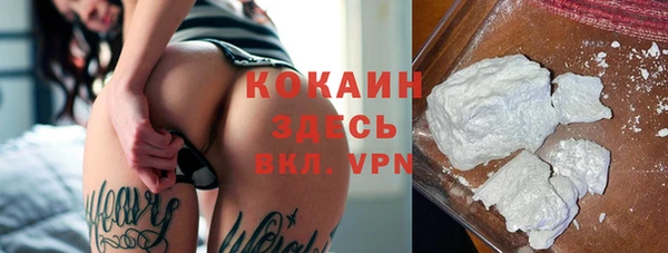 амф Гусев
