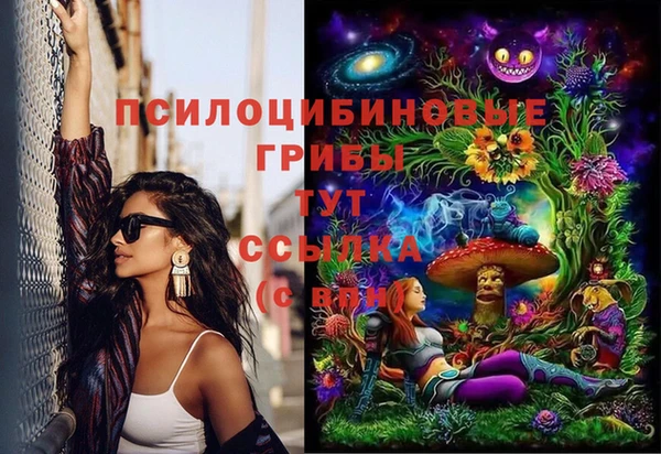 МДПВ Беломорск