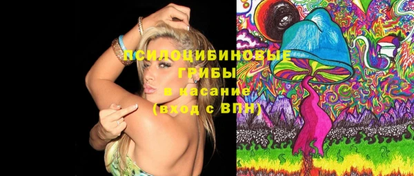 дурь Бородино
