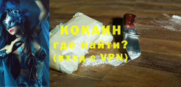 дурь Бородино