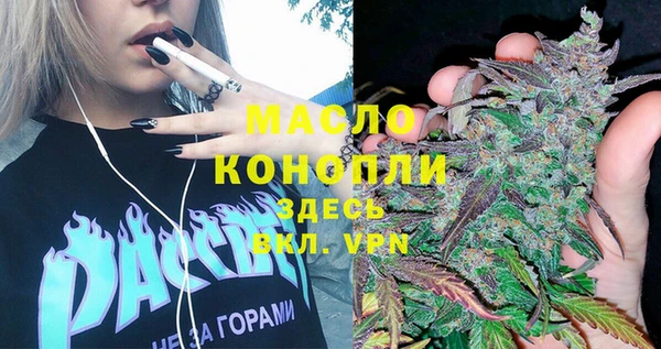 дурь Бородино