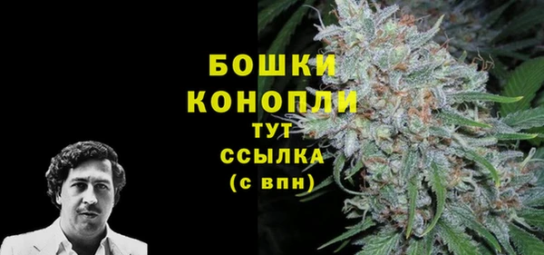 МДПВ Володарск