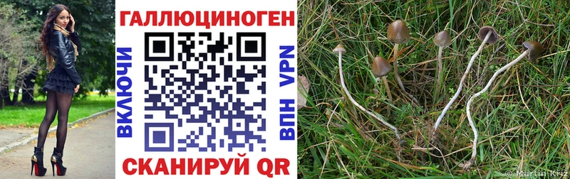 MEGA ссылка  Верхняя Салда  Псилоцибиновые грибы Psilocybine cubensis 